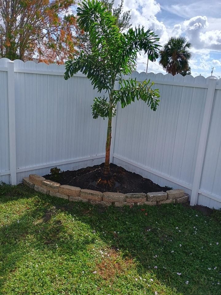 Palm Planting and Maintenance for Unity Maintenance & More LLC in Englewood, FL