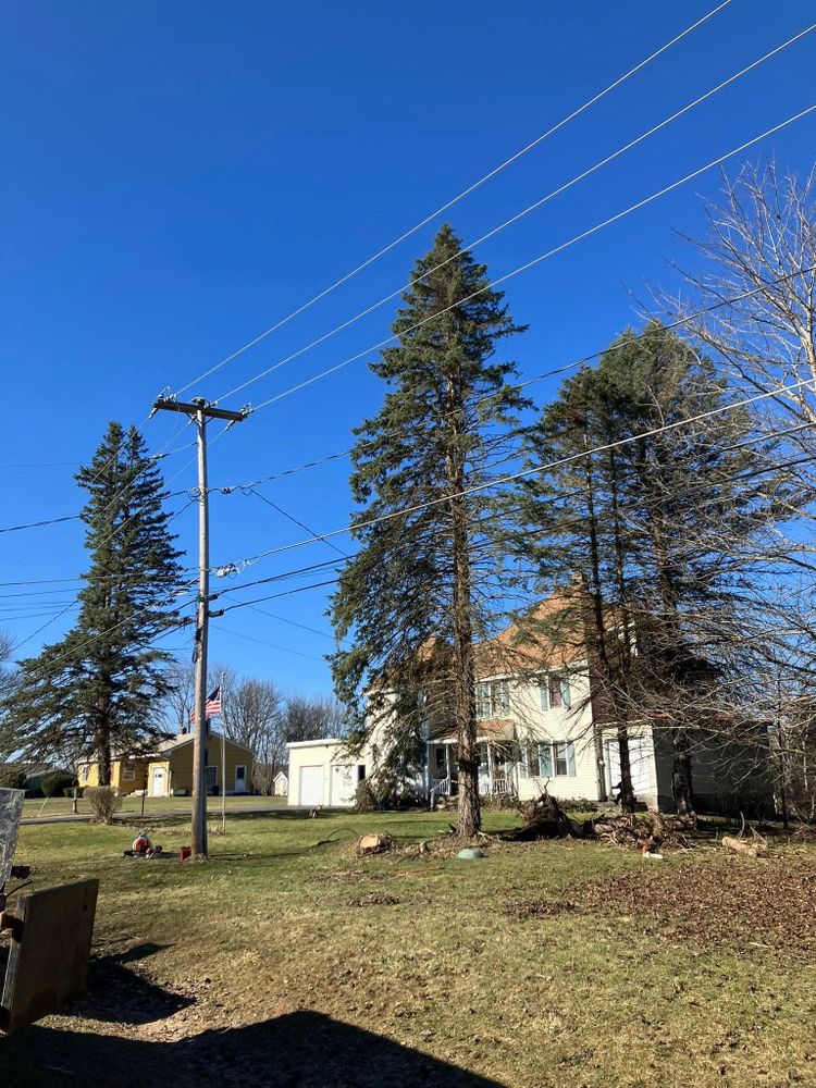 Our Tree Trimming service improves your trees’ health, appearance, and safety by removing overgrowth and weak branches, helping protect your home while keeping your landscape neat, balanced, and beautiful year-round. for Lovenguth Logging and Tree Service in West Monroe, NY