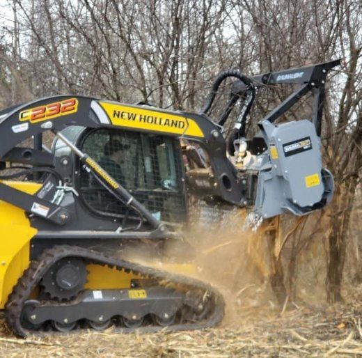 All Photos for Bay Area Bobcat in Riverview, FL