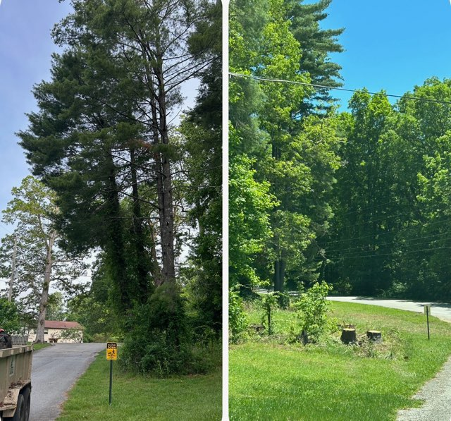 All Photos for McBee’s Tree Service in Sewanee, TN