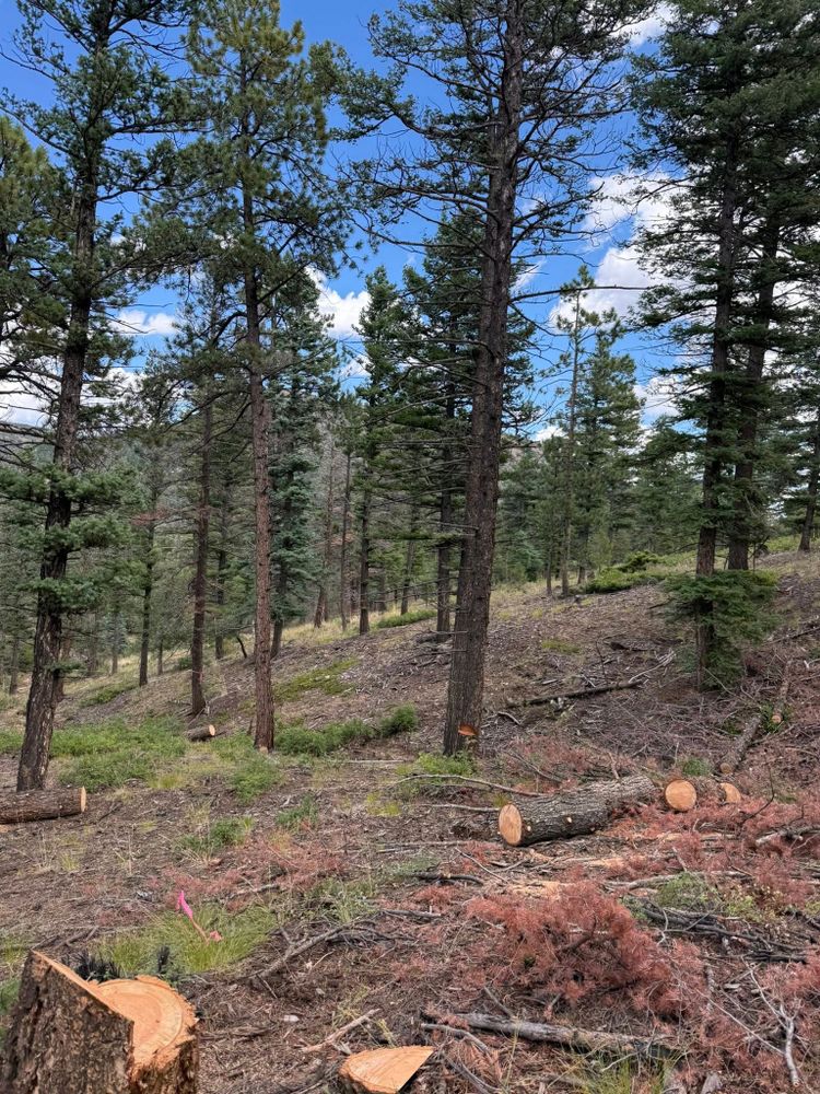 All Photos for B&C Services in Canon City, CO