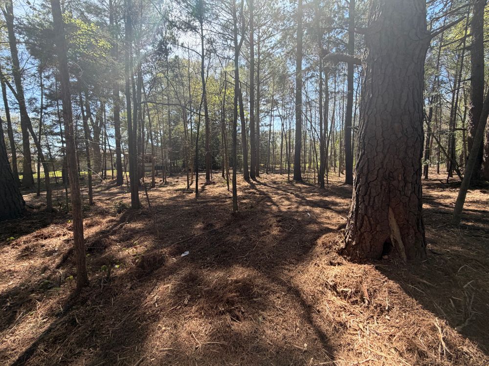 All Photos for 903 Mulching in East Mountain, TX