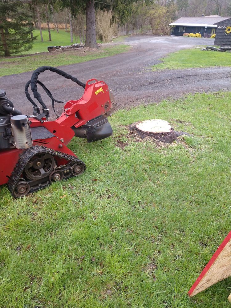 Stump Removal for TH Property Service, LLC in Manlius, NY