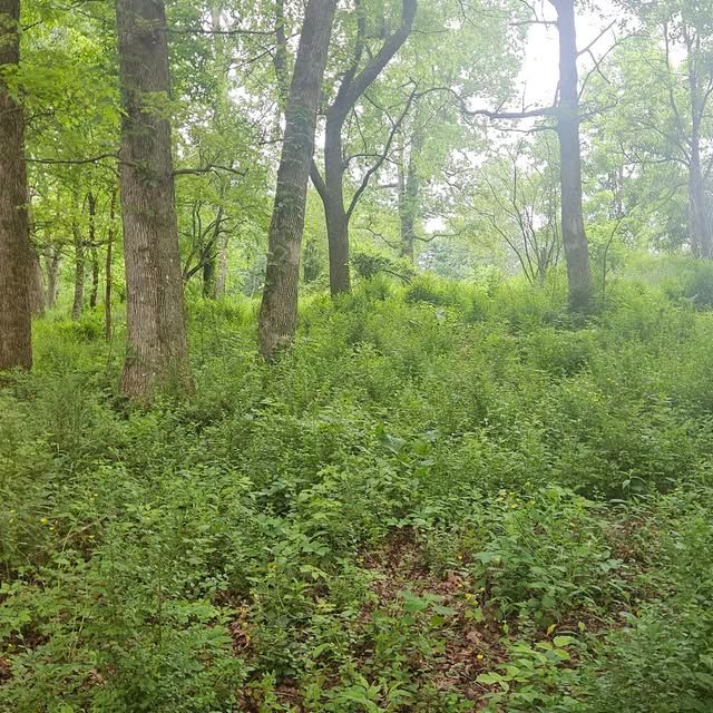 All Photos for B&B Land Management in Jamestown, TN