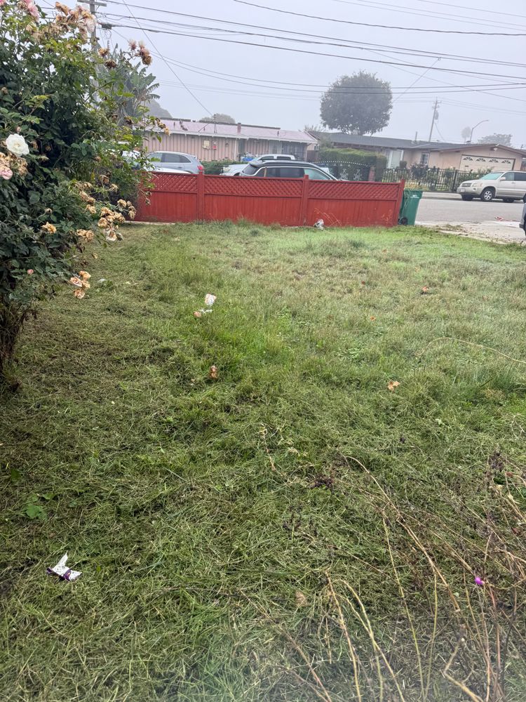 All Photos for CBA Landscaping in Hayward, CA