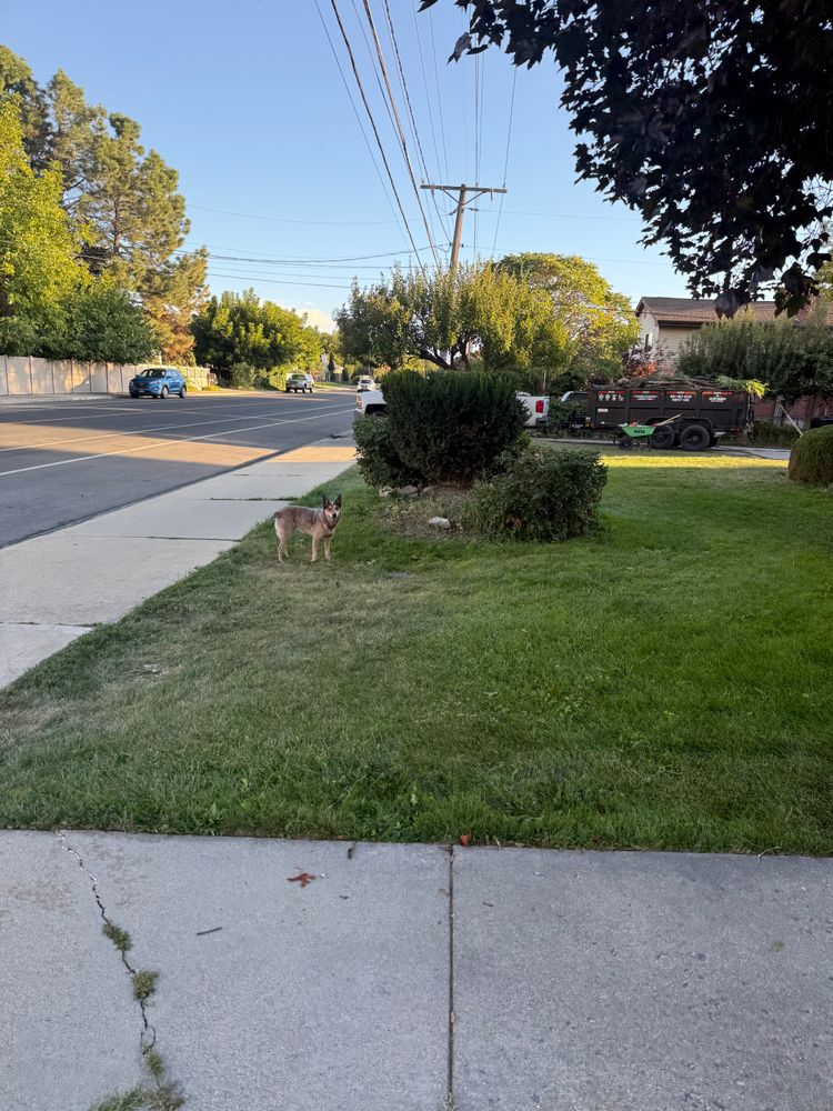 All Photos for Platinum Lawn Service in Santaquin, UT