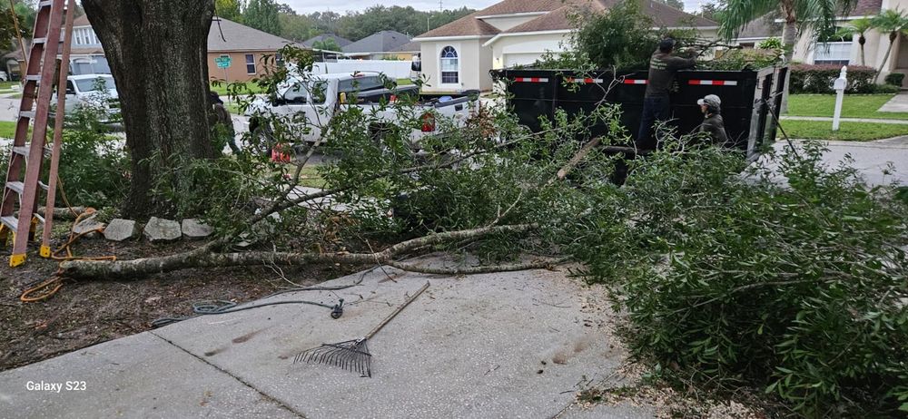 Landscaping for Tezna Landscaping, Trees & Pavers in Valrico, FL