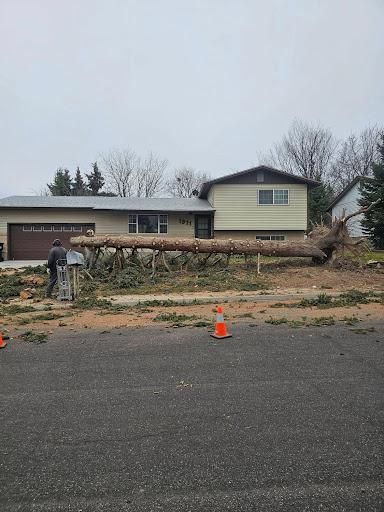 Tree Removal for Portneuf Valley Tree Service in Pocatello, ID