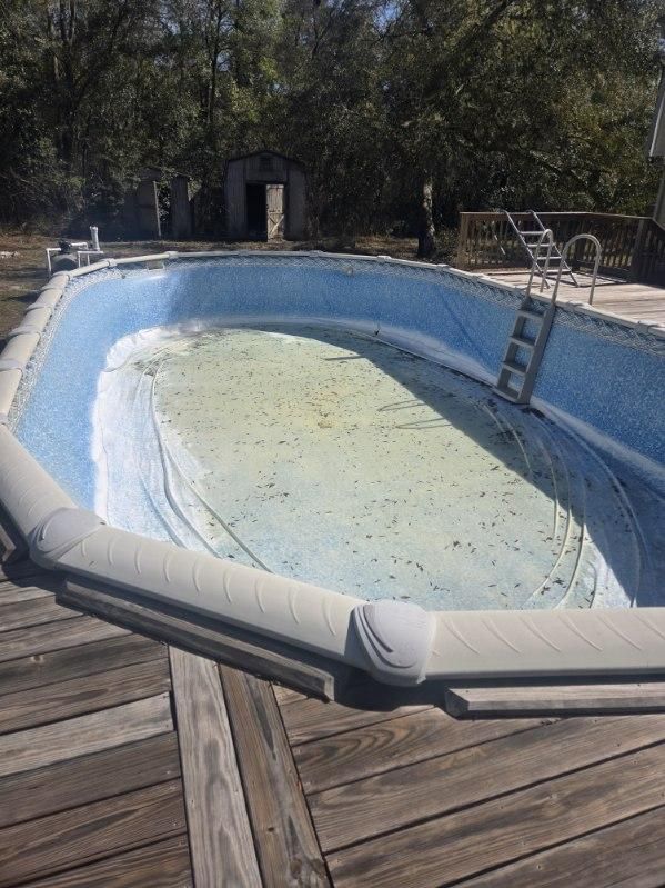 All Photos for Down & Dirty Pool Service in Crawfordville, FL