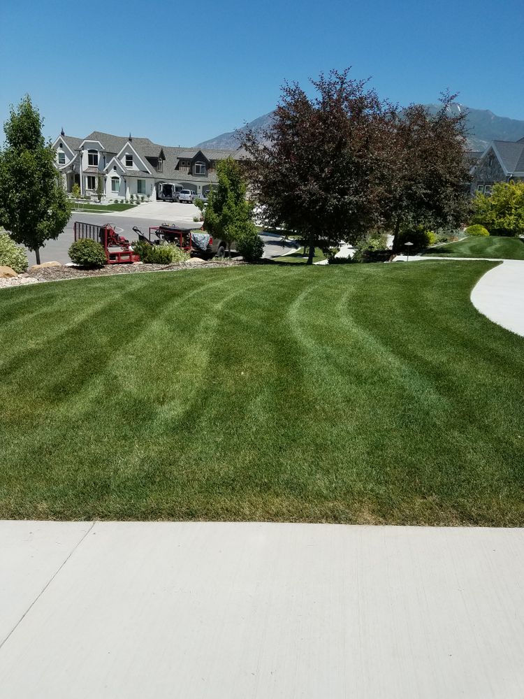 All Photos for Platinum Lawn Service in Santaquin, UT