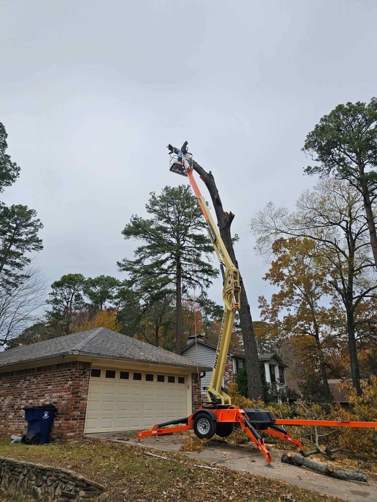 Tree Removal  for ABW Property Professionals in Hope Mills, NC