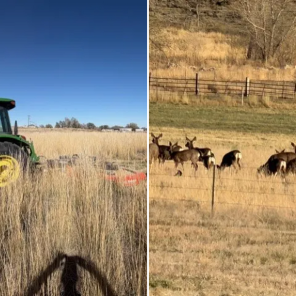 All Photos for Fair Weather, Inc in Rocky Ford, CO