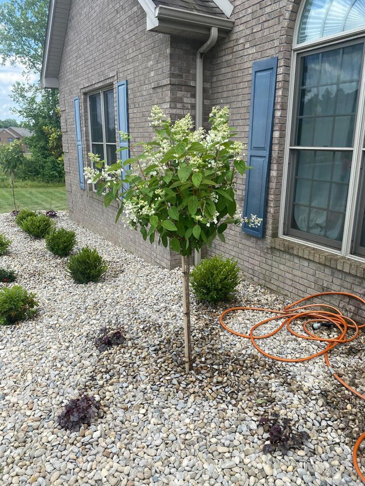 Landscaping for Dust Till Dawn Lawn in London, Kentucky