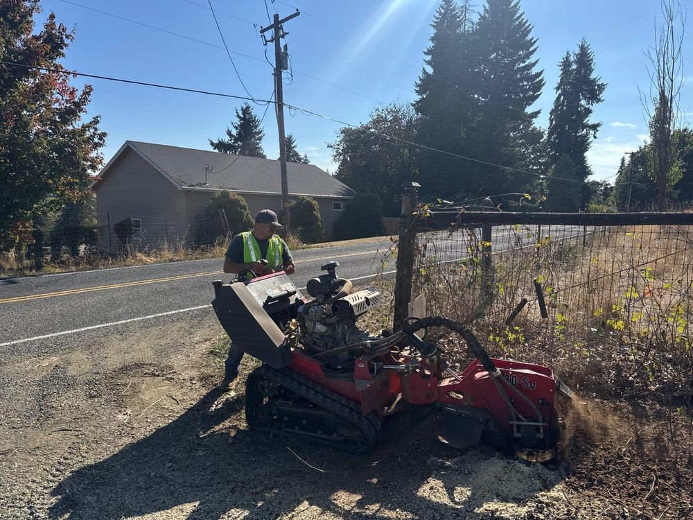 All Photos for Willamette Landscaping and Tree Services in Albany, OR