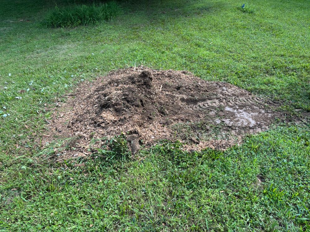 All Photos for Conrad's Stump Removal in Columbus, IN