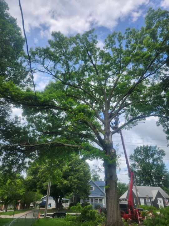 All Photos for Lawn Ranger Yard And Tree Service LLC in Ottumwa, IA