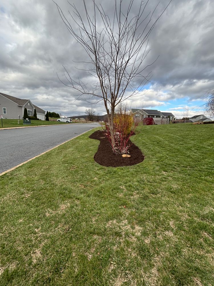 All Photos for Backyard Acres Lawncare LLC in Chambersburg, PA