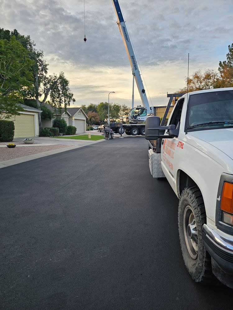 Tree Removal for T's Tree Service and Firewood in Apache Junction, AZ