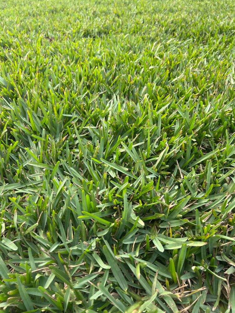 All Photos for C4 Ground Control in Oviedo, FL