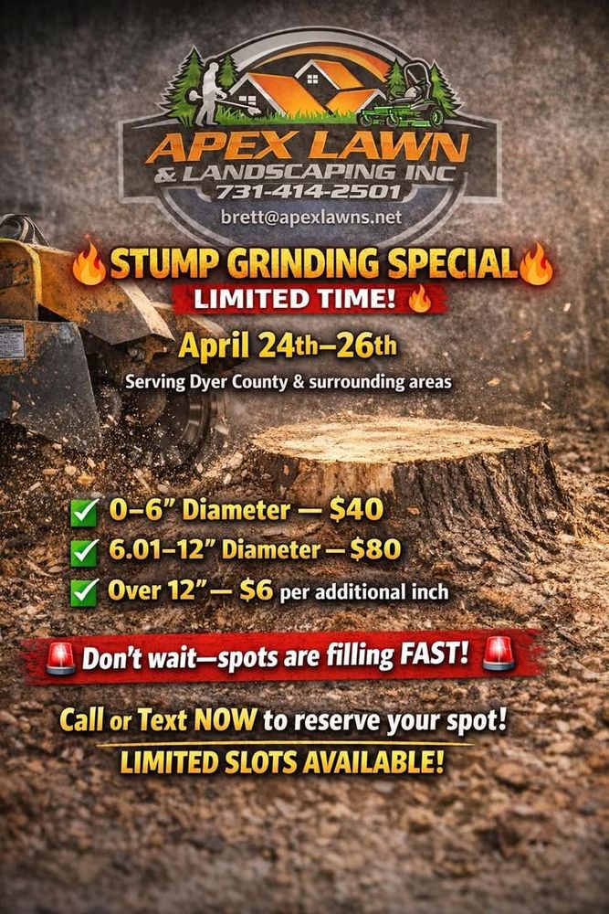 All Photos for Apex Lawn & Landscaping INC in Dyersburg, TN