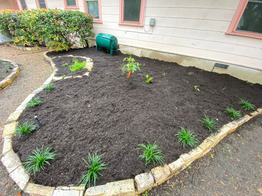 All Photos for Robert’s Lawn & Tree Service in Austin, TX