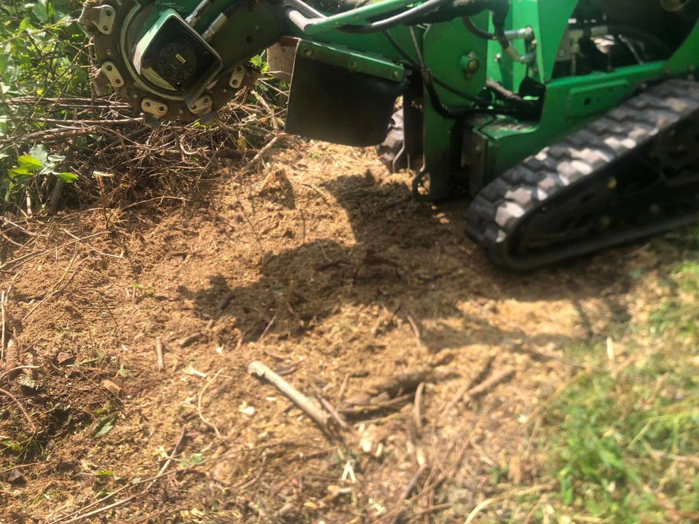 All Photos for Mountainside Property Services LLC in Warrenton, VA