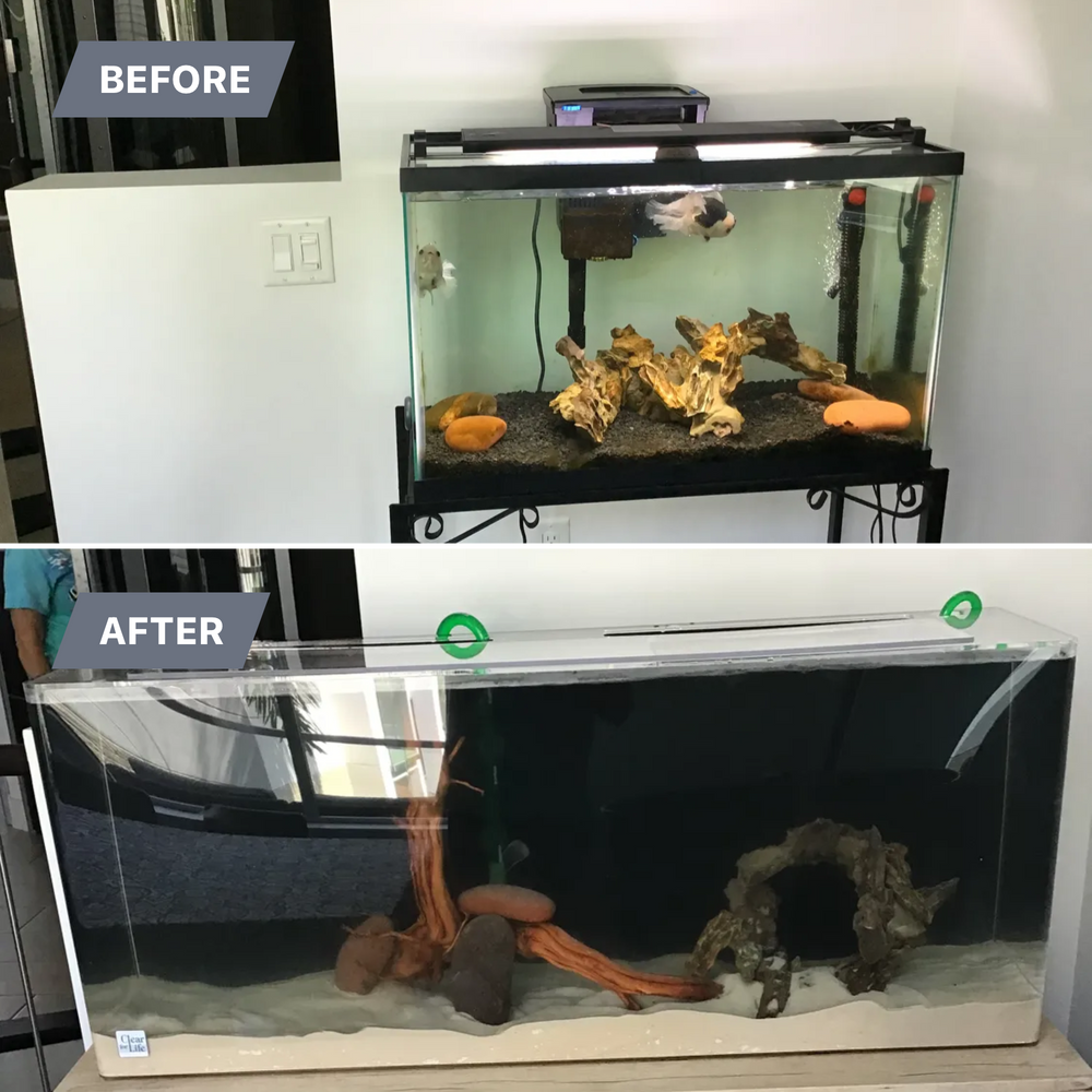 Feature for Aquariums by Sharyn in The State of Florida, FL