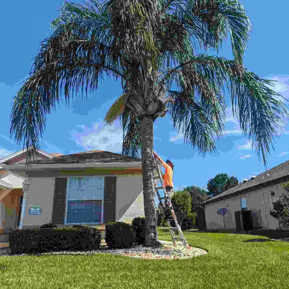 All Photos for TopNotch Landscaping Services  in The Villages, FL