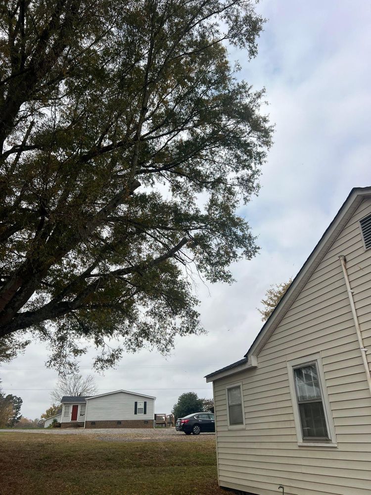 All Photos for Brooks Tree Service, LLC in Casar, NC