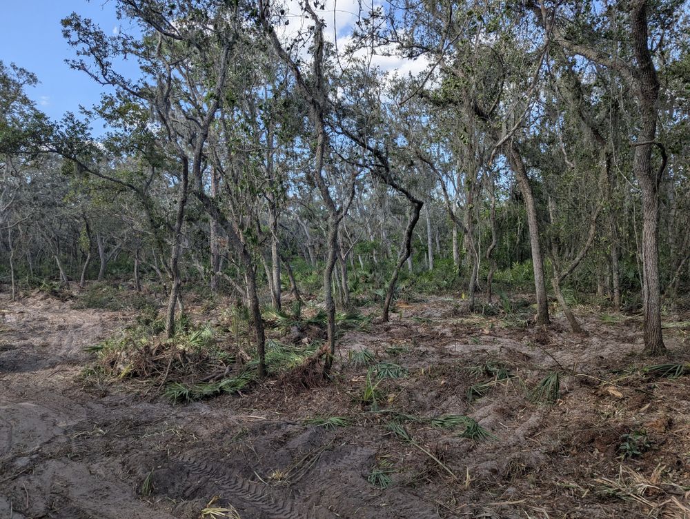 All Photos for Regal Tree Service and Stump Grinding in Wauchula, FL