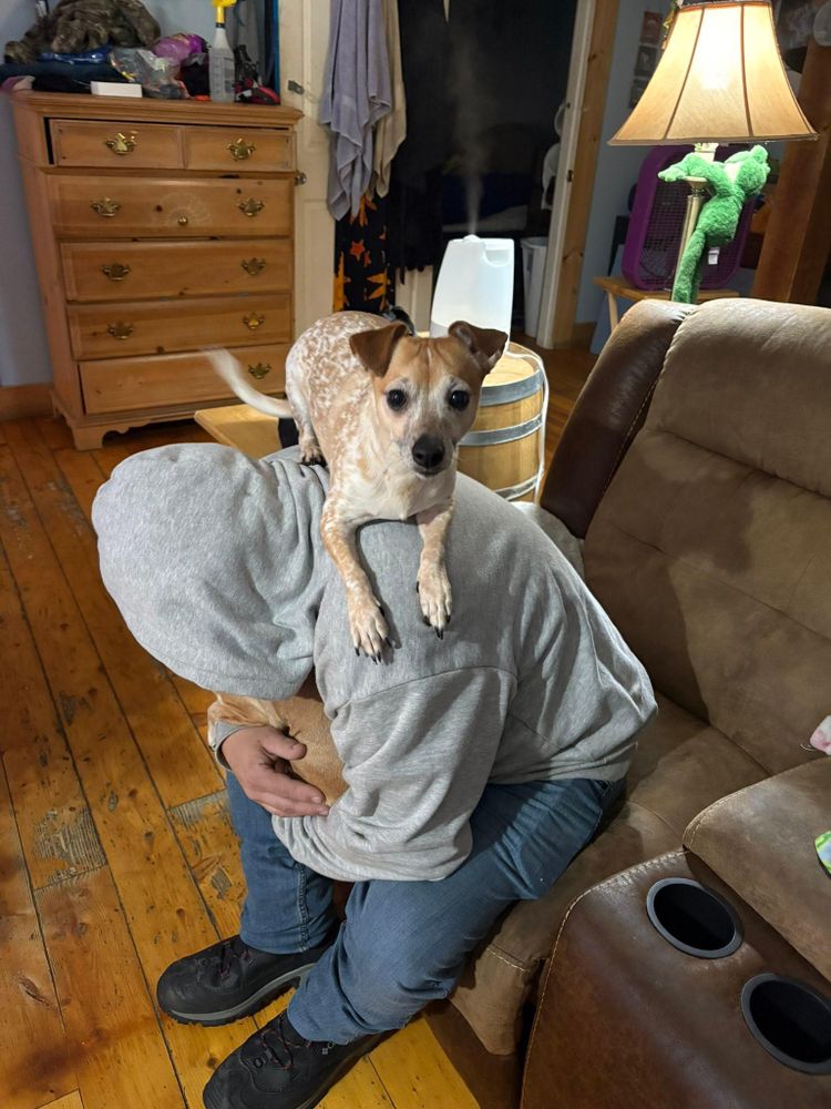 All Photos for The Dailey Daisy in Hardwick, VT