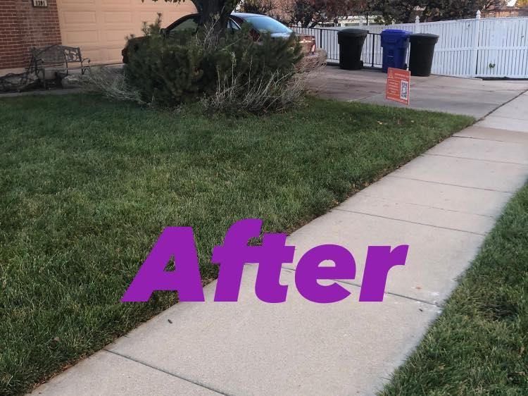 All Photos for Duncan Yard Services in Bountiful, UT