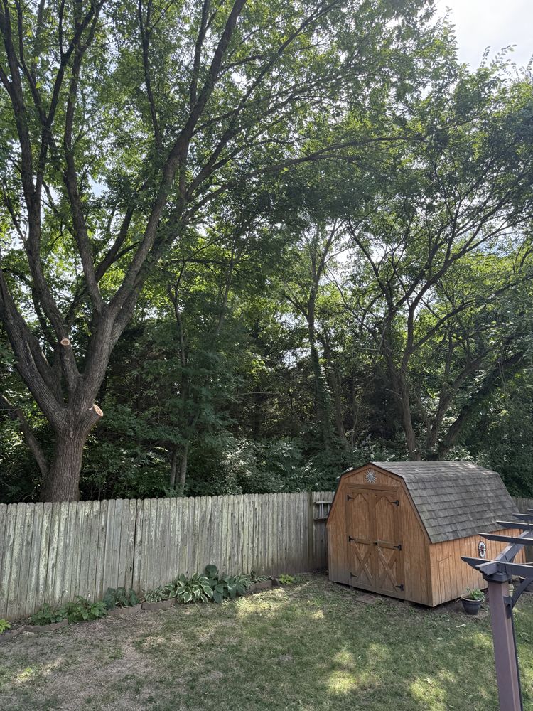 All Photos for Sky High Tree Service in Columbia, MO