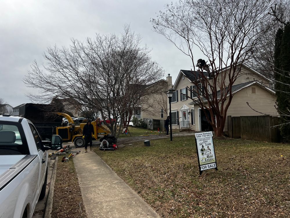 All Photos for DIAZ TREE in Stafford, VA