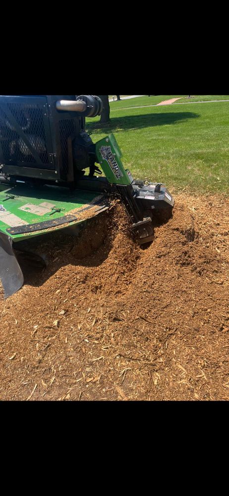 Tree Services for Etherton’s Tree Service in Quinton, NJ