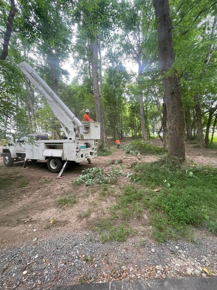 All Photos for Lucky’s Tree Removal and Landscape Services in Knoxville, TN