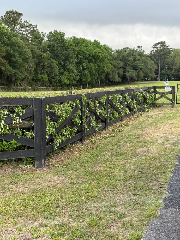 All Photos for Bauer Fencing & Farm Maintenance in Ocala, FL