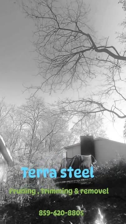 All Photos for Terra Steel Creations in Independence, KY