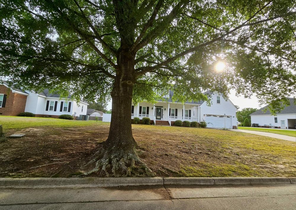 All Photos for Natures Accent in Wilson, NC