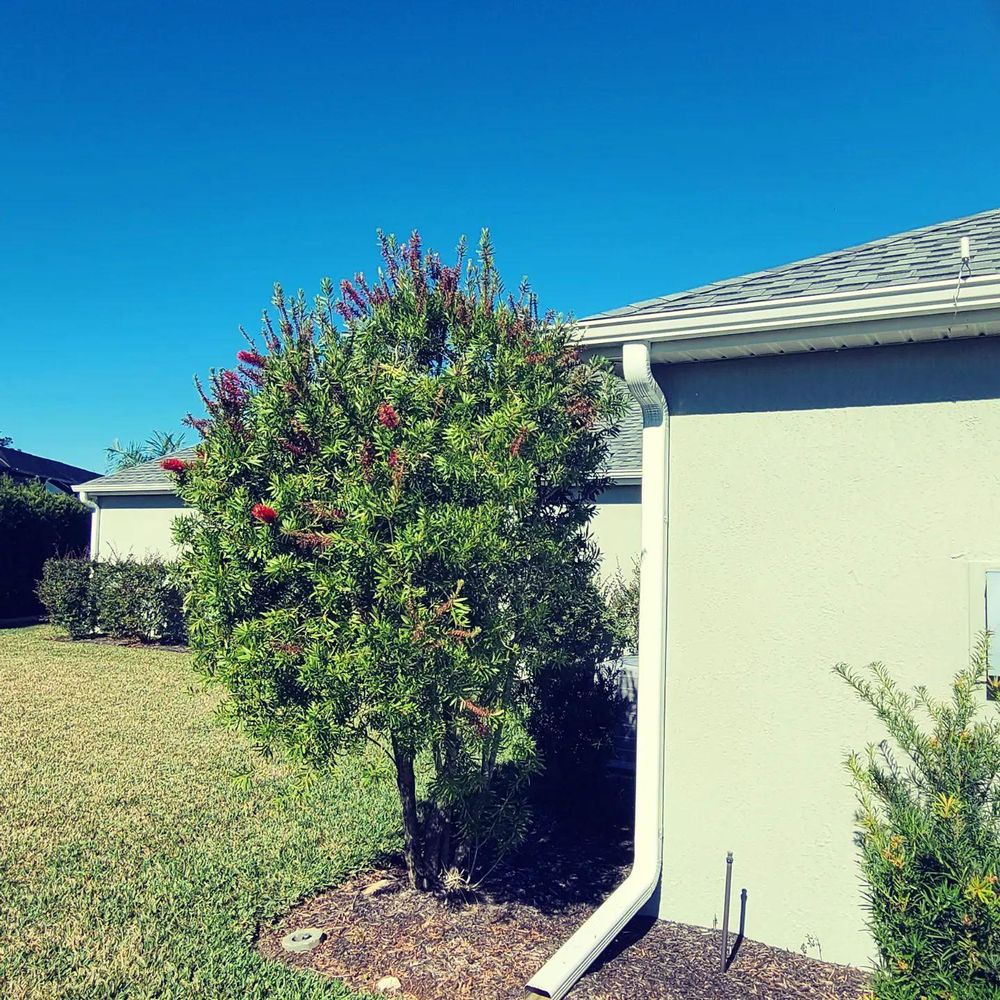 All Photos for TopNotch Landscaping Services  in The Villages, FL