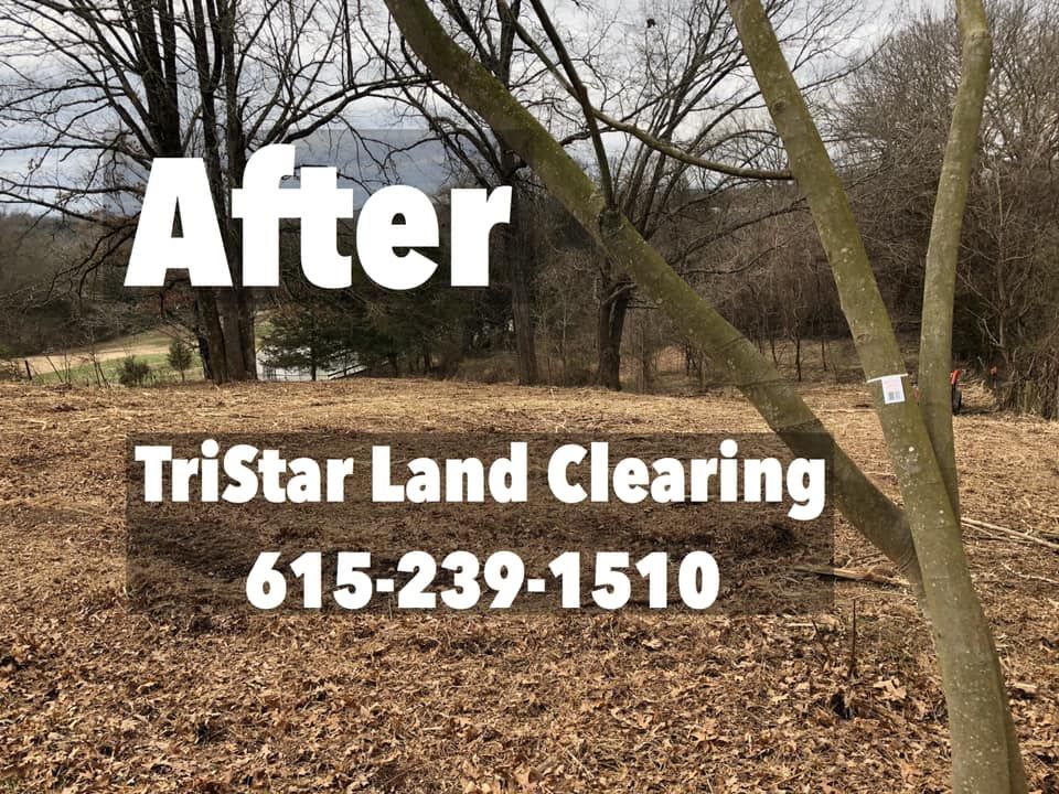 Land Clearing for TriStar Land Clearing & Mulching in  Nashville, TN