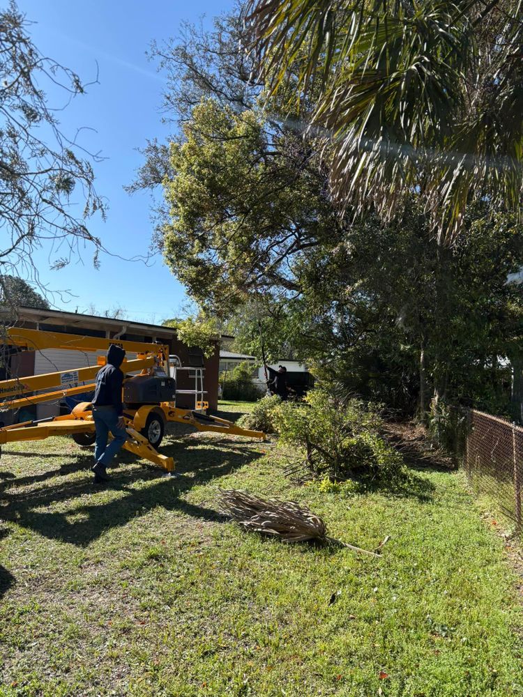 All Photos for Top Notch Tree Experts in Orange Park, FL