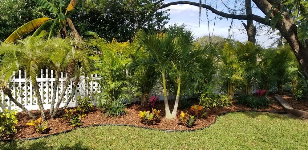 Landscaping for Tezna Landscaping, Trees & Pavers in Valrico, FL