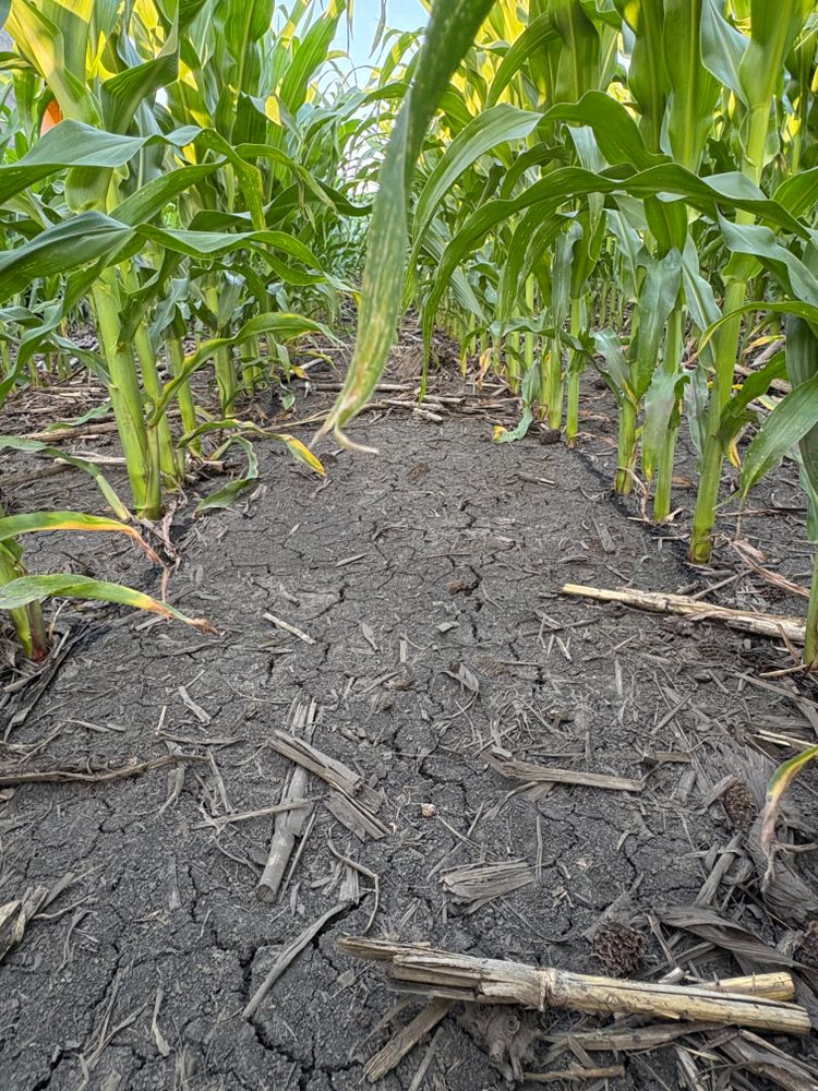 All Photos for Legge Farms and Drainage in Garner, IA