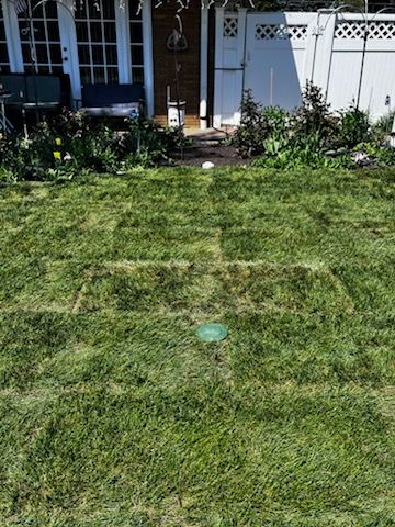 All Photos for DG Stone & Landscaping Designs in DuPage County, Illinois