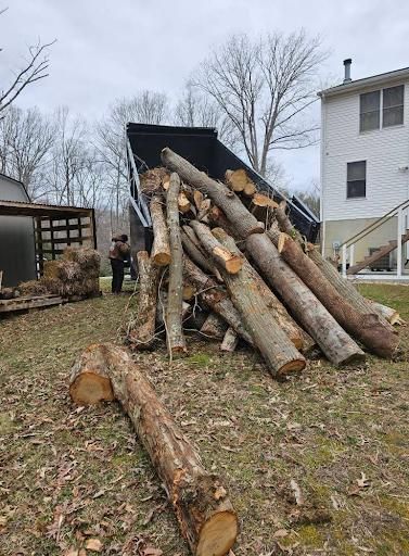 All Photos for Hired Gunz Services LLC in La Plata, MD