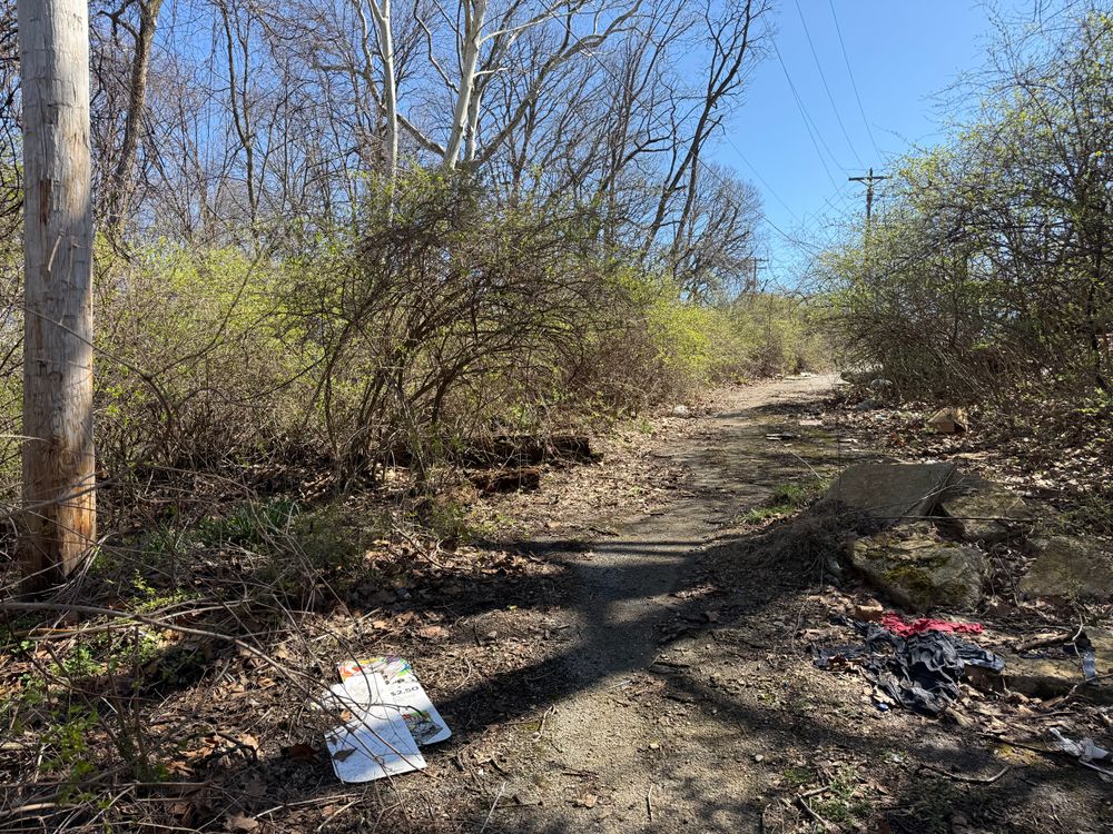 All Photos for A1 Bush Hogging & Lawn Service in London, OH