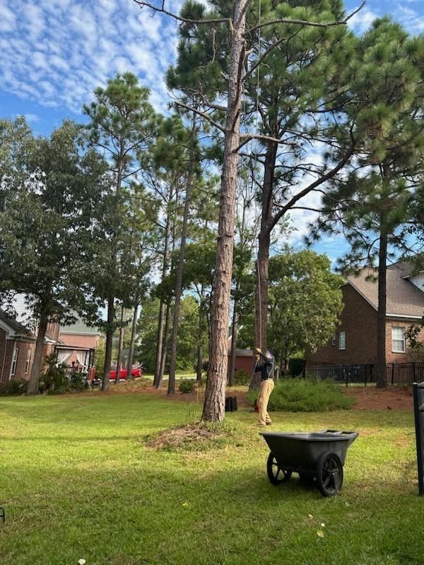 All Photos for Tucker's Tree Service and Stump Grinding in Lugoff, SC