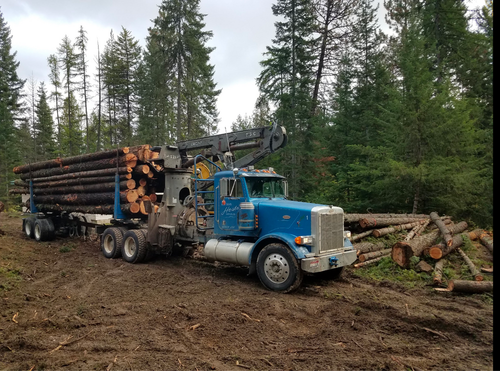 Our Small Scale Logging service offers efficient and sustainable tree removal tailored to homeowners' needs. We ensure minimal impact on the property while maintaining affordability and professionalism throughout the process. for King & Sons Urban Forestry in Coeur d'Alene, ID