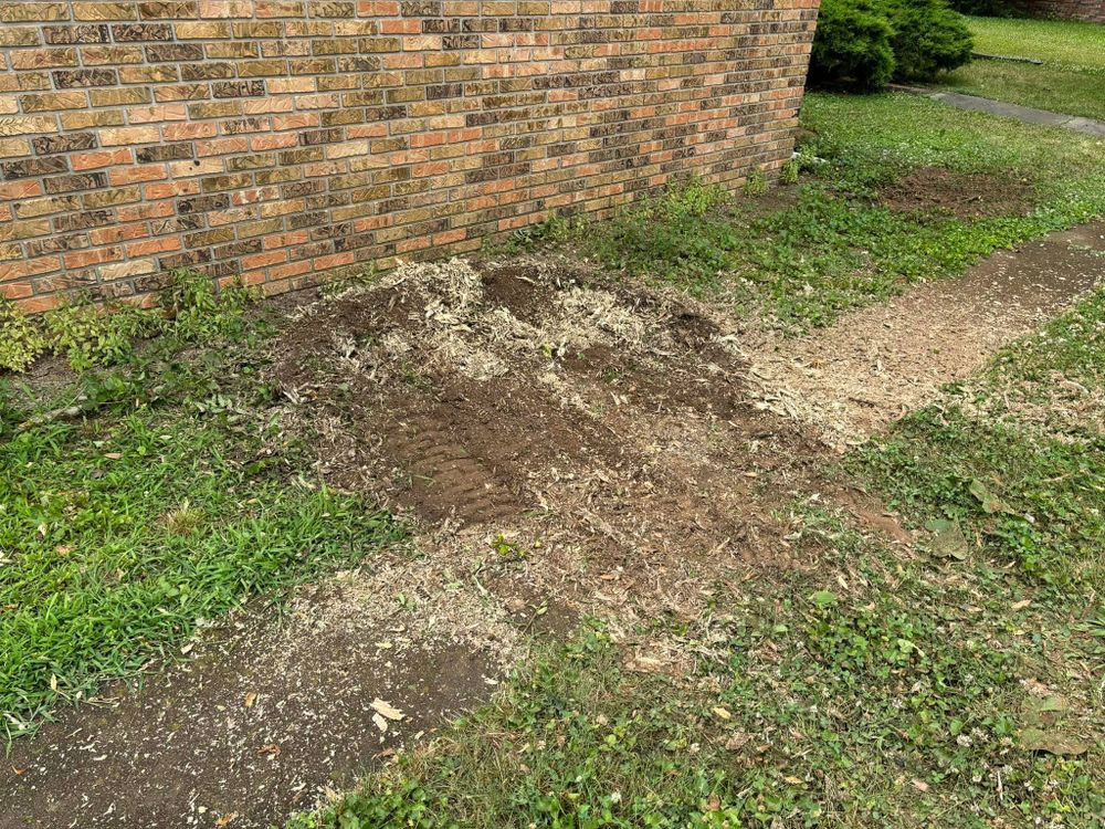 Our professional stump removal service efficiently and safely eliminates unsightly tree stumps from your property, providing a cleaner, more visually appealing landscape for your home. for Conrad's Stump Removal in Columbus, IN